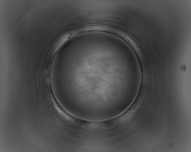 X0000090631433200707171437