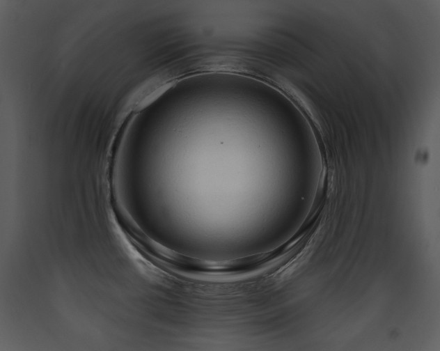 X0000090631434200707171437