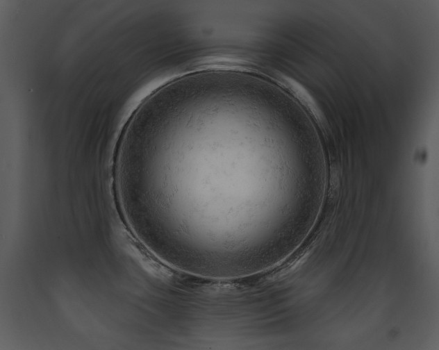 X0000090631435200707171437