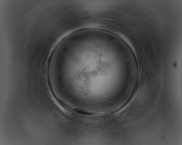 X0000090631437200707171437