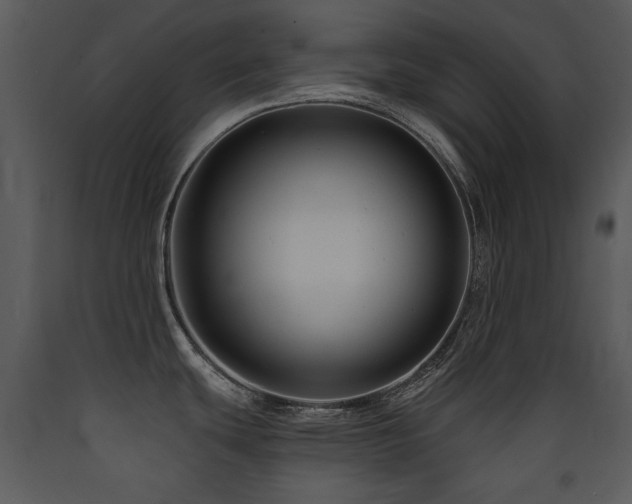 X0000090631439200707171437