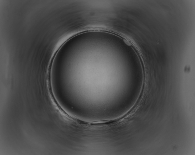 X0000090631440200707171437