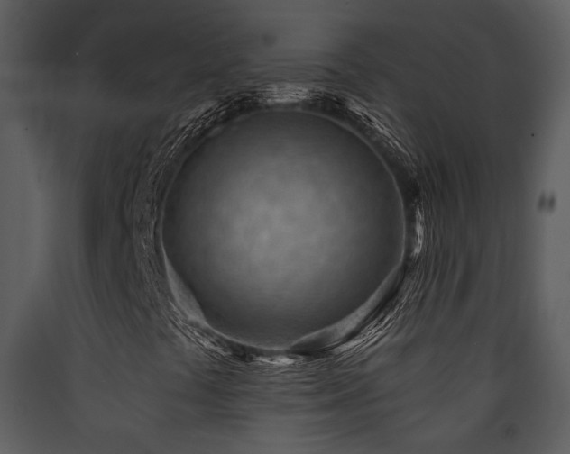 X0000090631441200707171437