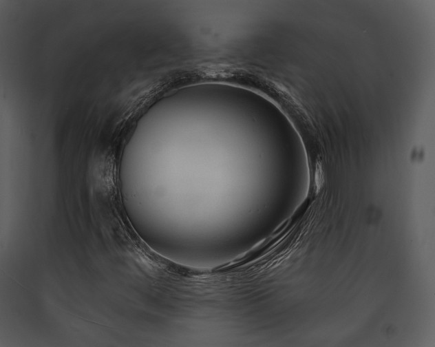 X0000090631444200707171437