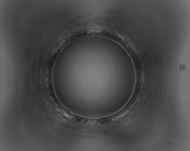 X0000090631445200707171437
