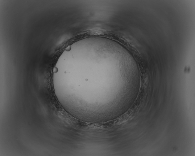 X0000090631446200707171437