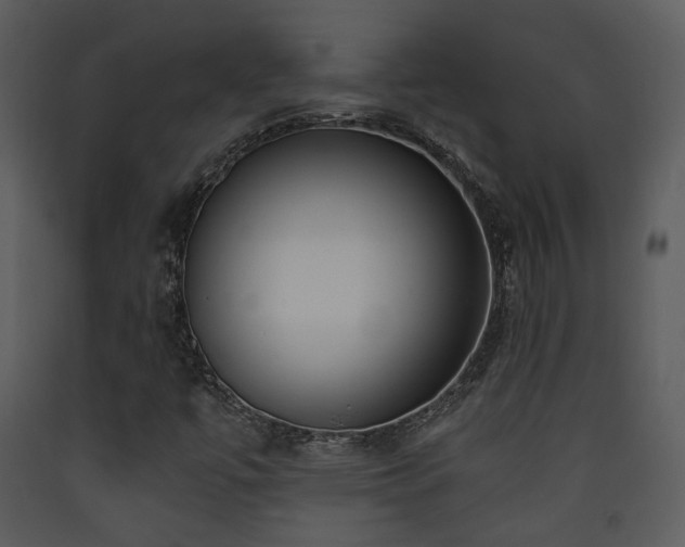 X0000090631447200707171437