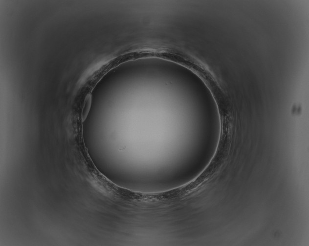 X0000090631448200707171437