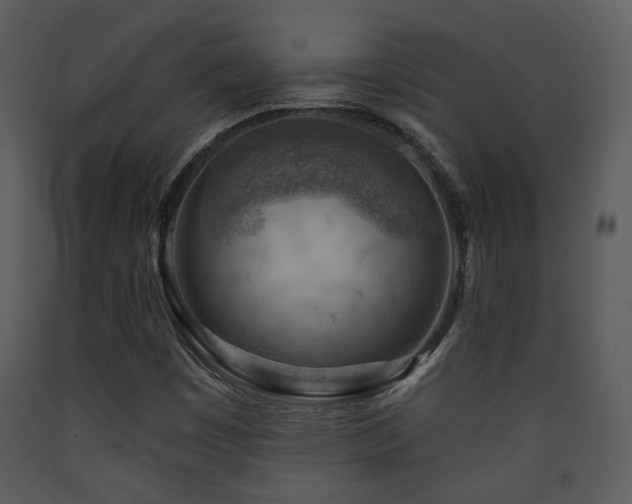 X0000090631449200707171437