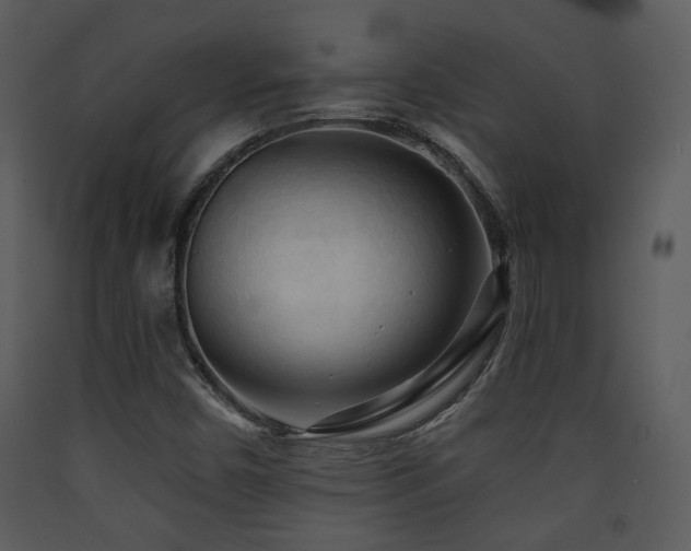 X0000090631450200707171437