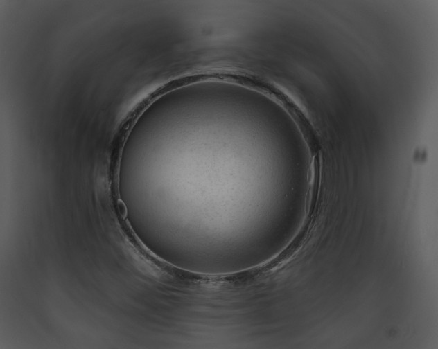 X0000090631452200707171437