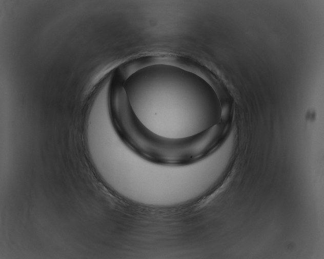 X0000090631453200707171437