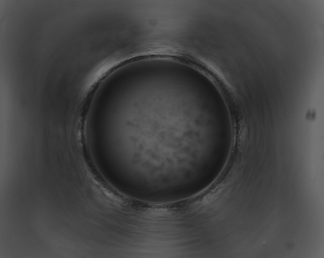 X0000090631455200707171437