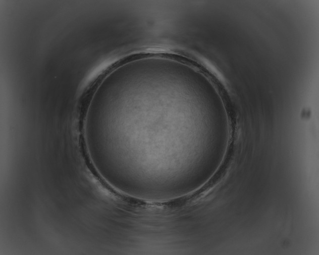 X0000090631456200707171437