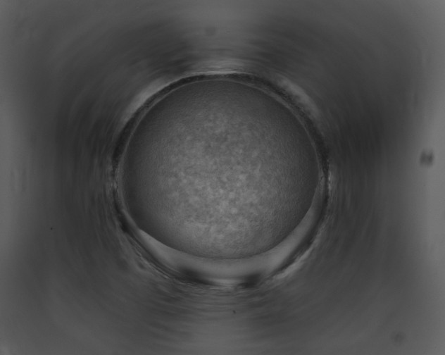 X0000090631457200707171437