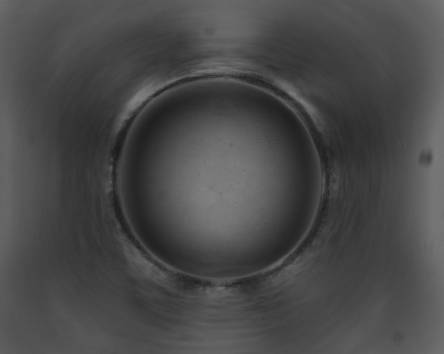 X0000090631459200707171436