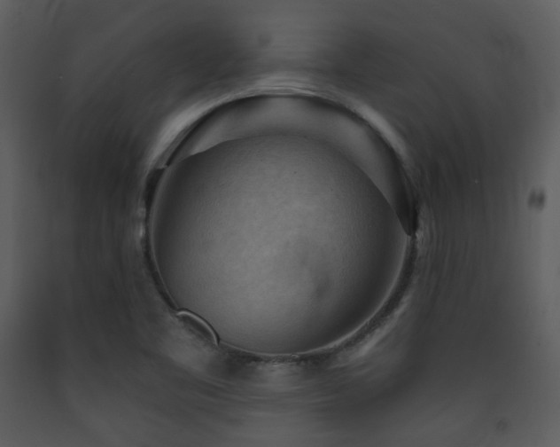 X0000090631461200707171436