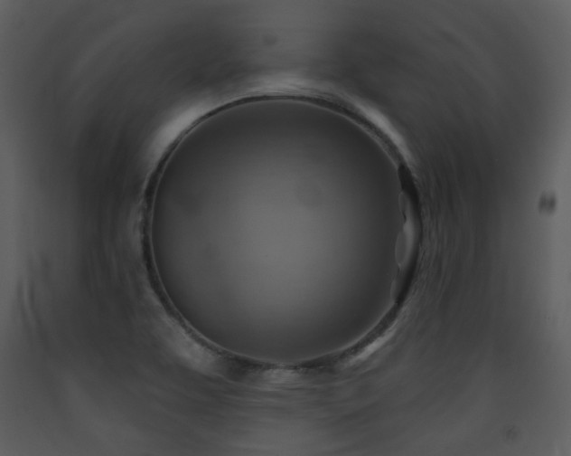 X0000090631463200707171436