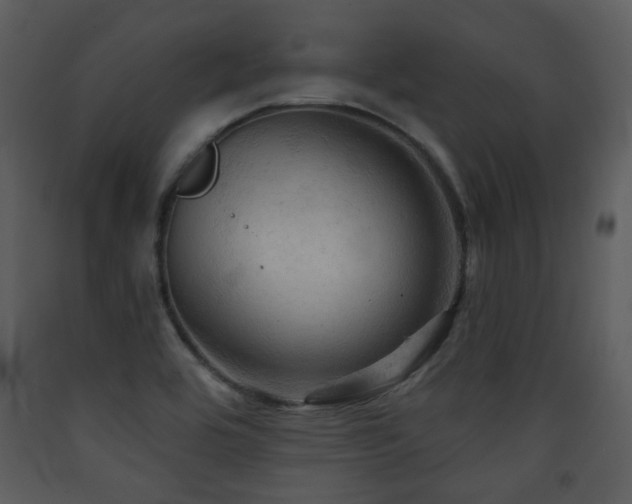 X0000090631464200707171436