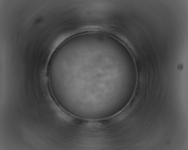 X0000090631466200707171436
