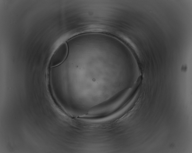 X0000090631467200707171436