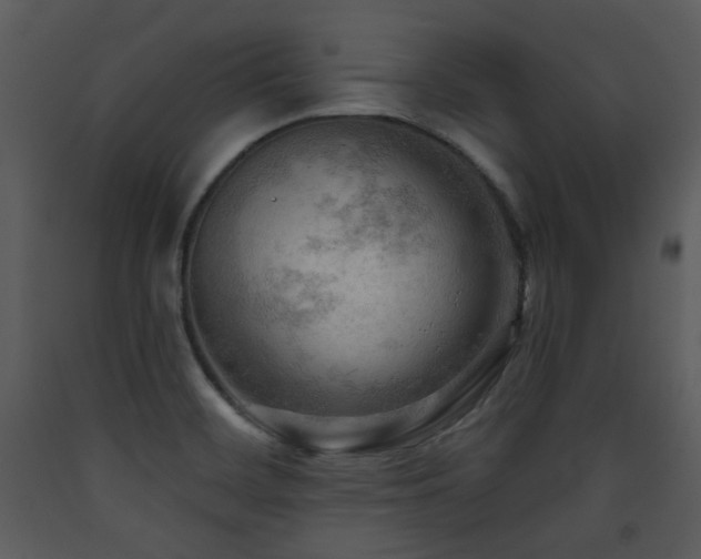X0000090631468200707171436
