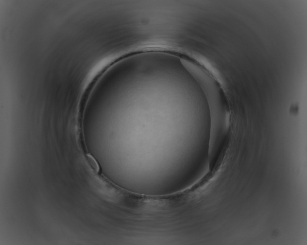 X0000090631469200707171436
