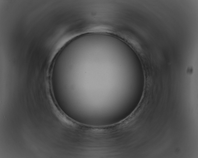 X0000090631470200707171436