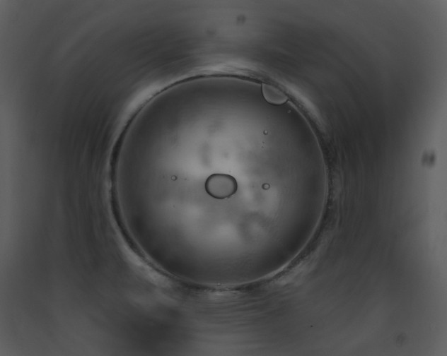 X0000090631471200707171436