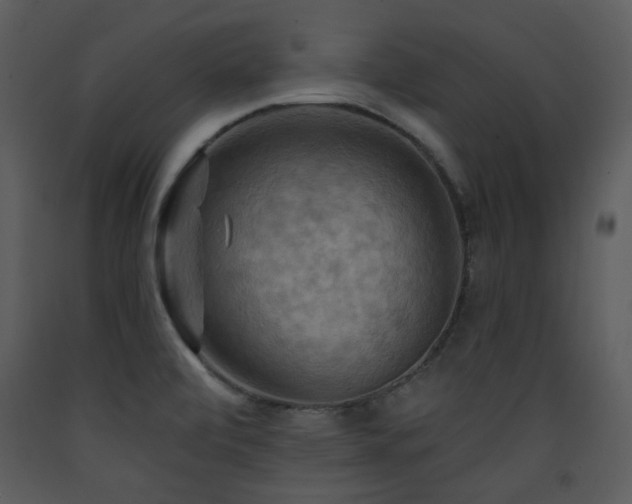 X0000090631472200707171436