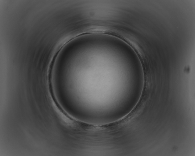X0000090631475200707171436