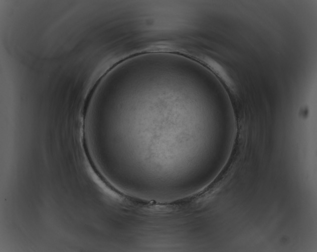 X0000090631476200707171436