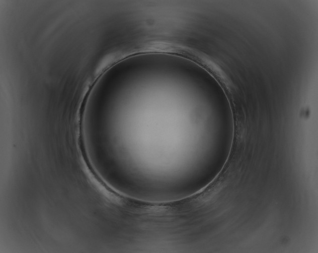 X0000090631479200707171436