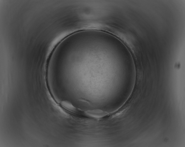 X0000090631480200707171436
