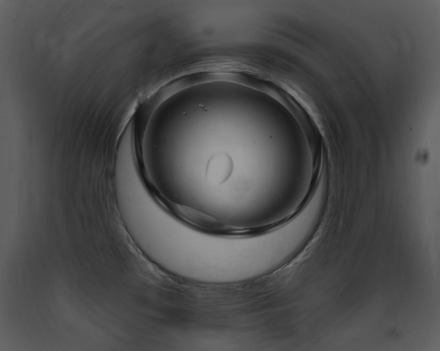 X0000090631481200707171436