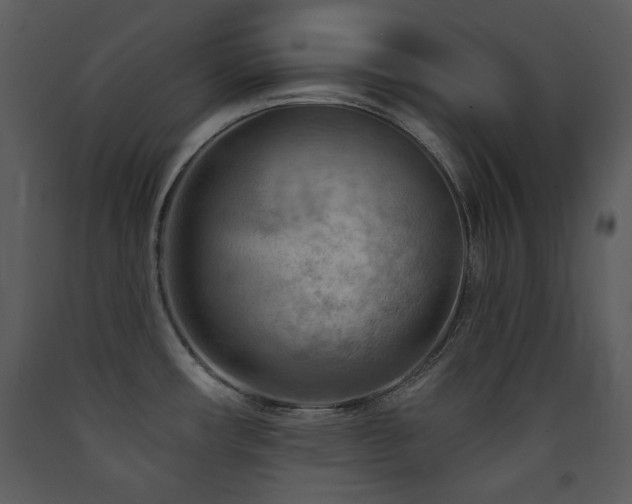X0000090631482200707171436