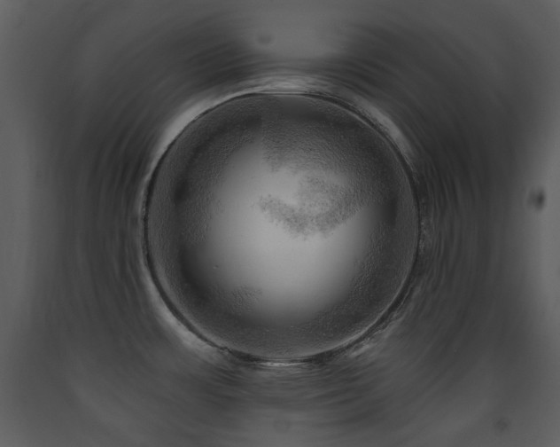 X0000090631483200707171436