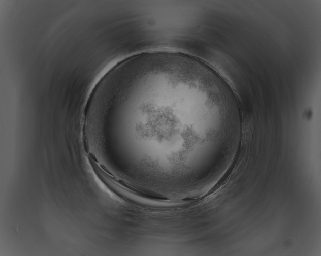 X0000090631484200707171436