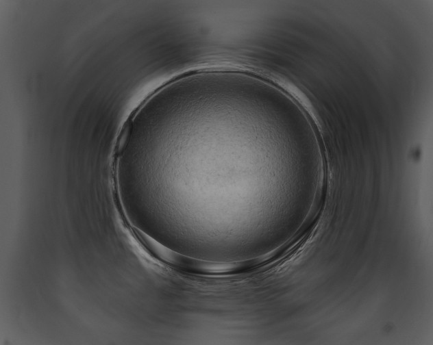 X0000090631485200707171436
