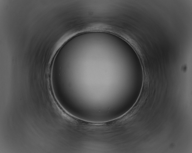 X0000090631486200707171436