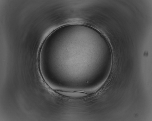 X0000090631488200707171436