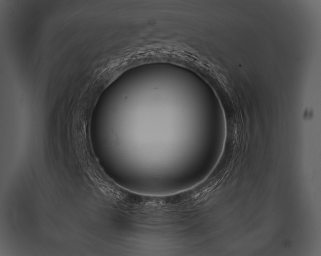X0000090631489200707171435
