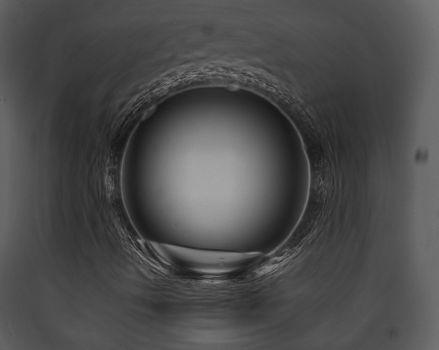 X0000090631490200707171435