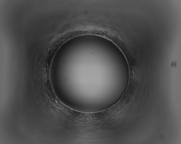 X0000090631493200707171435