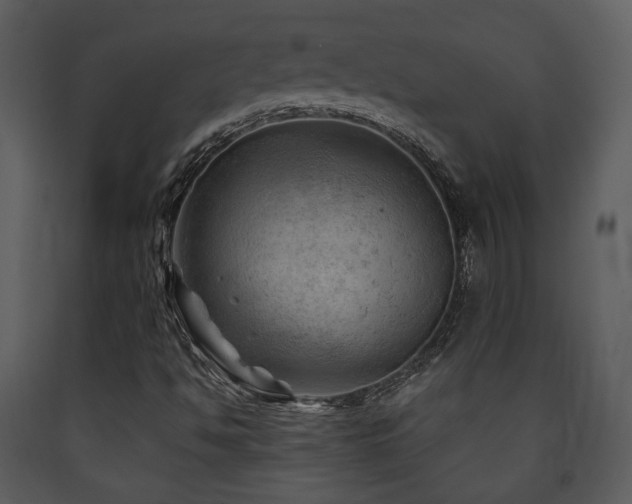 X0000090631494200707171435