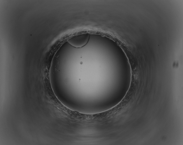 X0000090631495200707171435