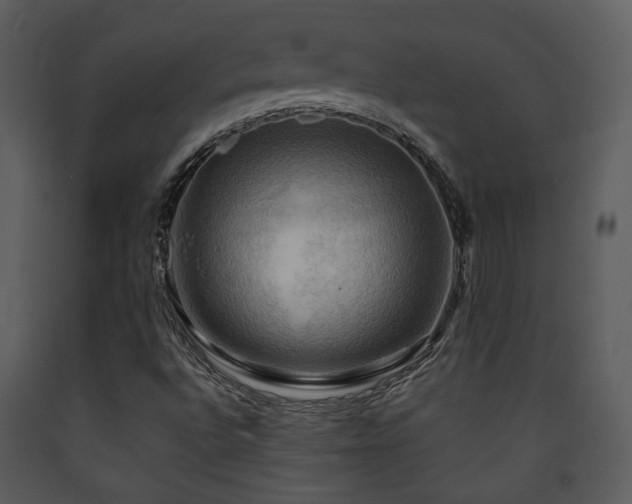 X0000090631496200707171435