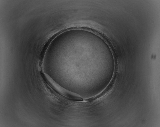 X0000090631497200707171435