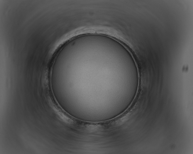X0000090631498200707171435