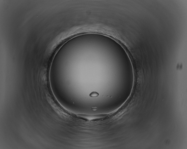 X0000090631499200707171435